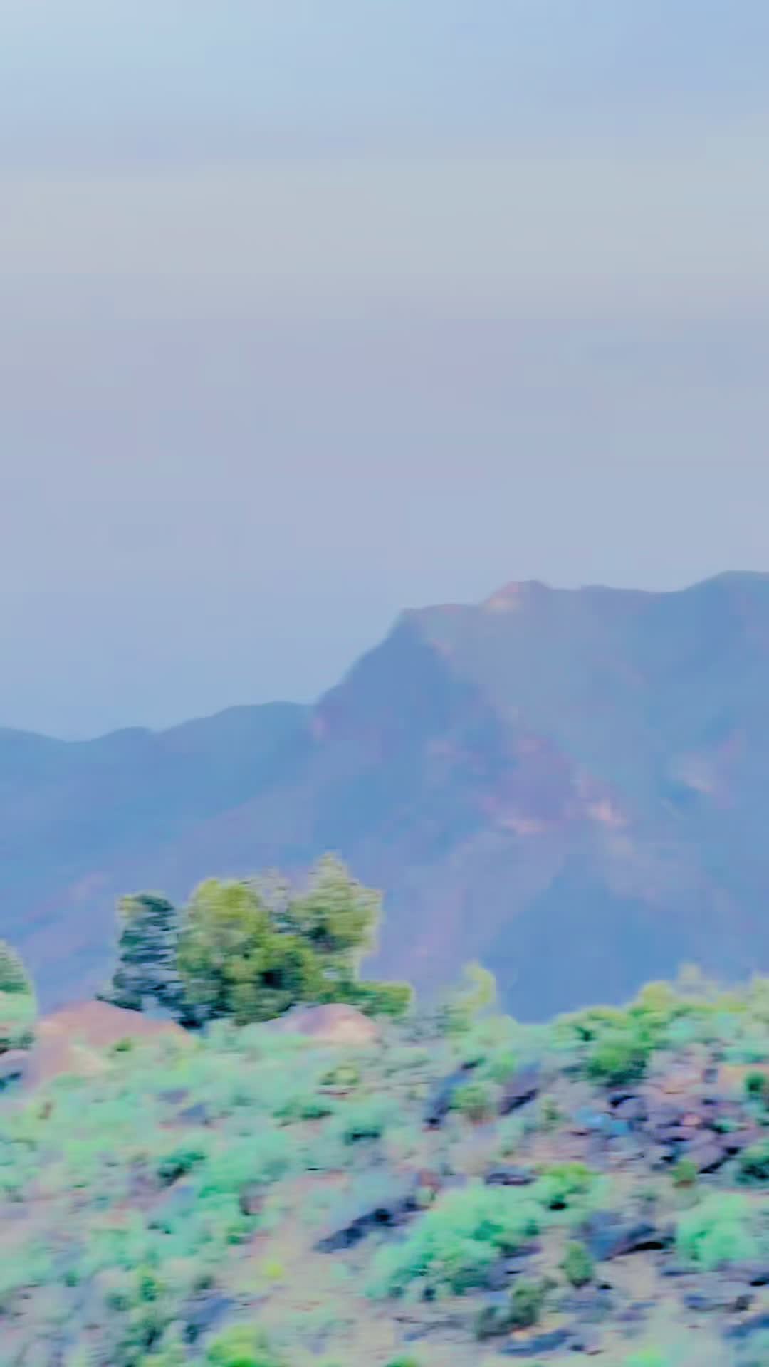 @باغی جاجا 303