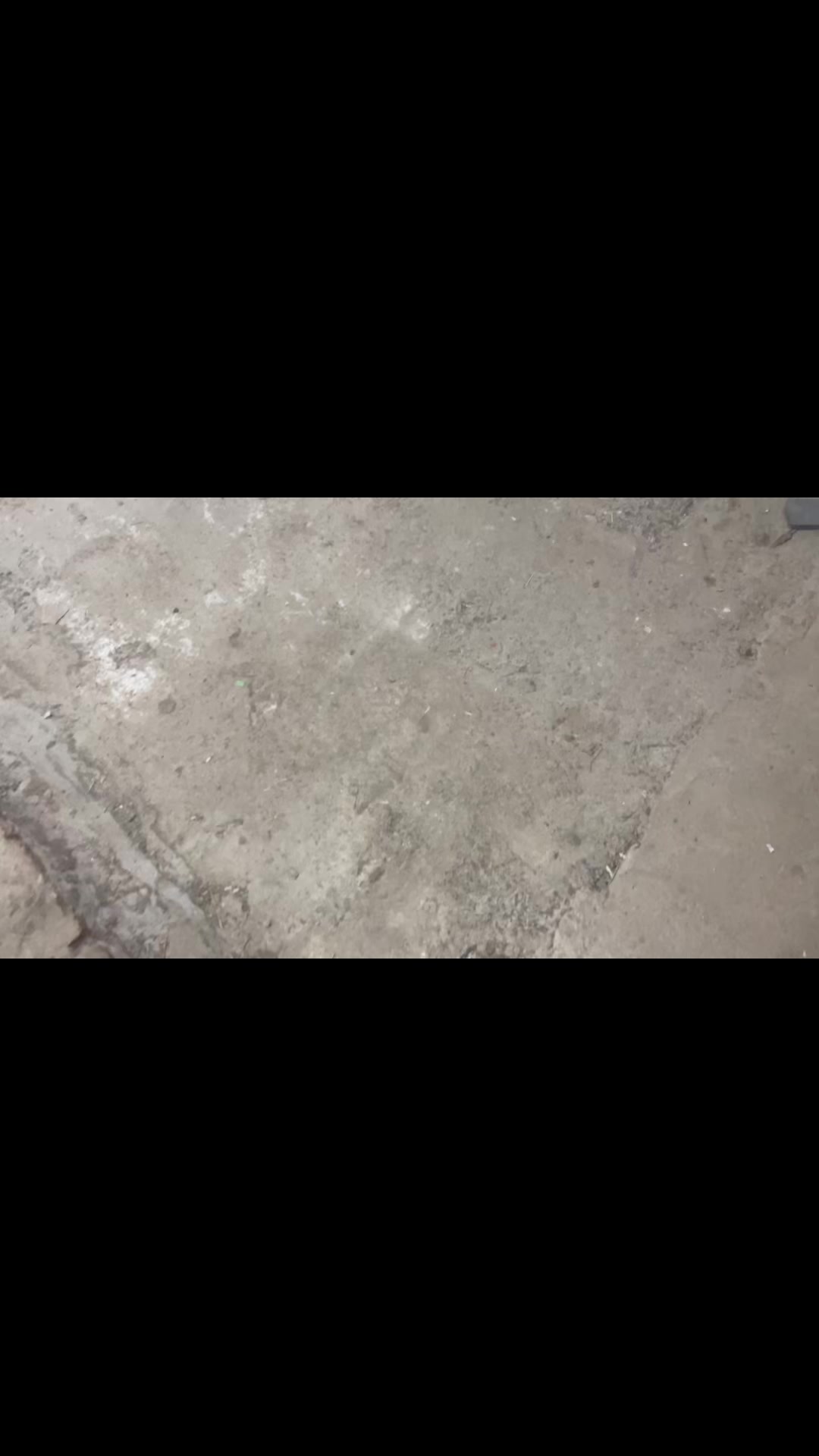 @🚷kVASIK🚷