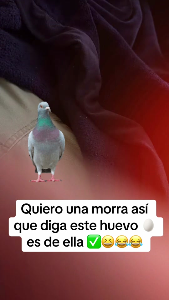 @E💲🌀u777♦️🇸🇻LA🇺🇸