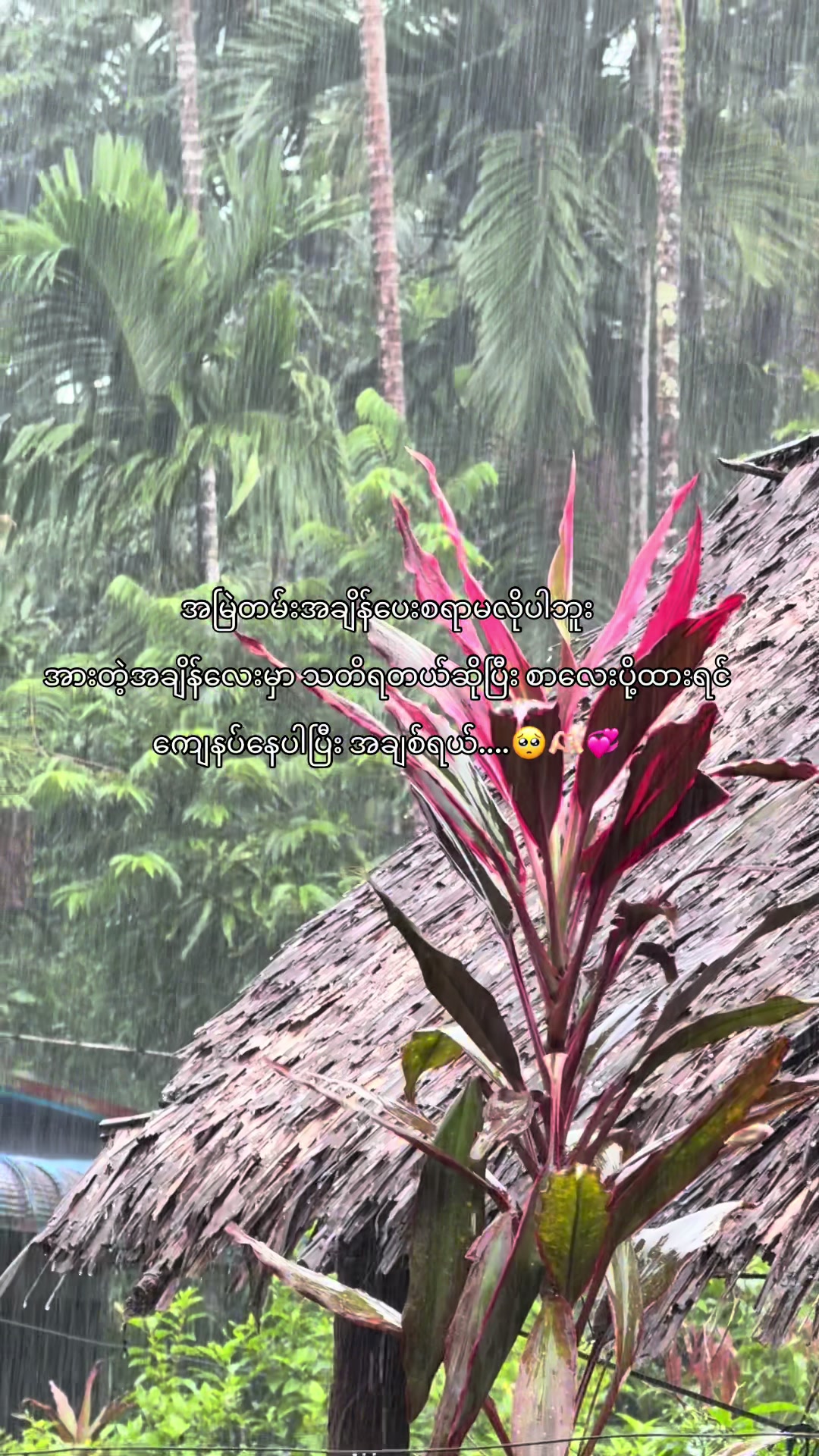 @๐ธ ๐๐ฆ๐๐๐๐ฃ ๐๐ ๐(๐๐๐)