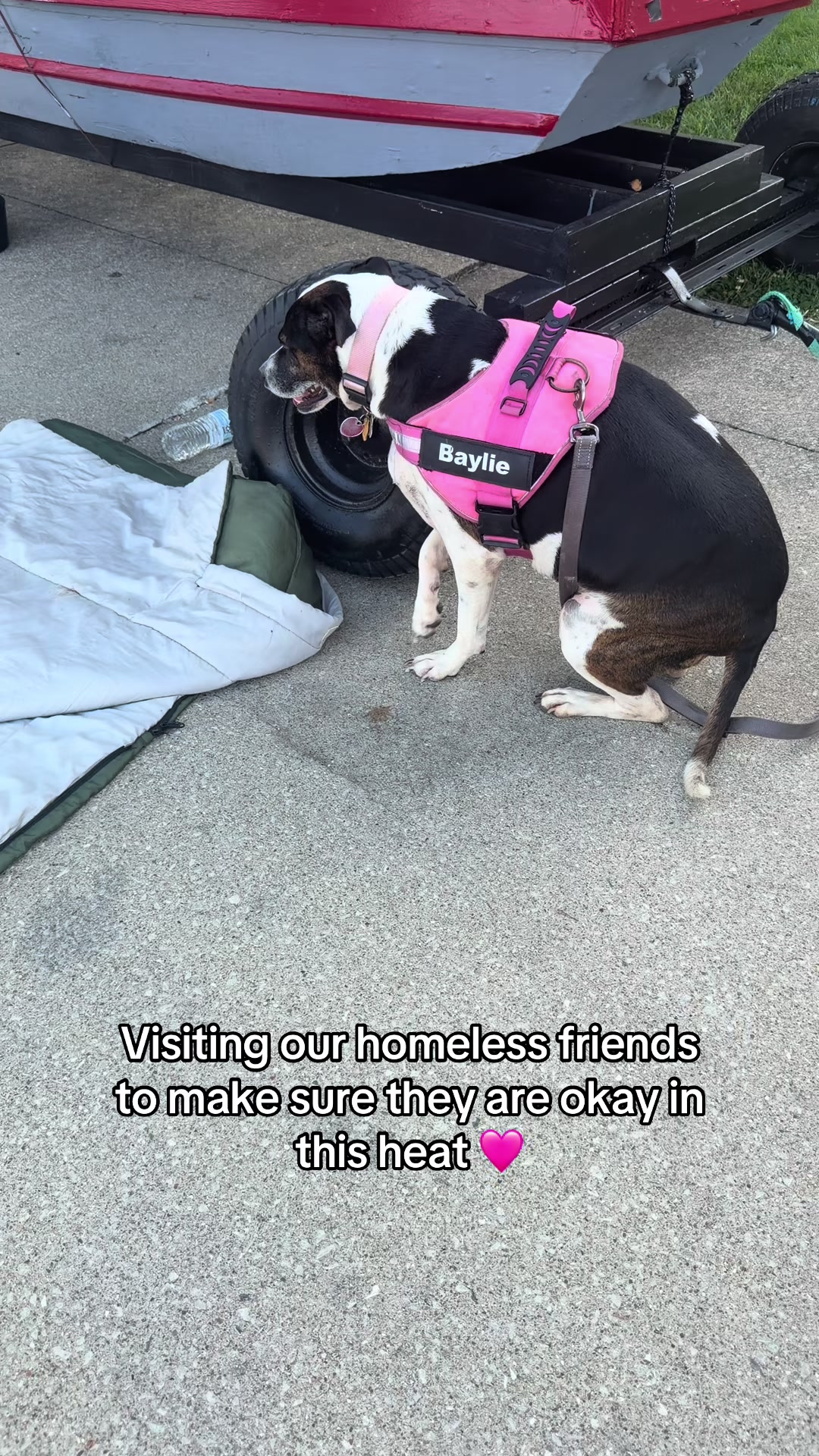 @Happy Tails Animal Rescue