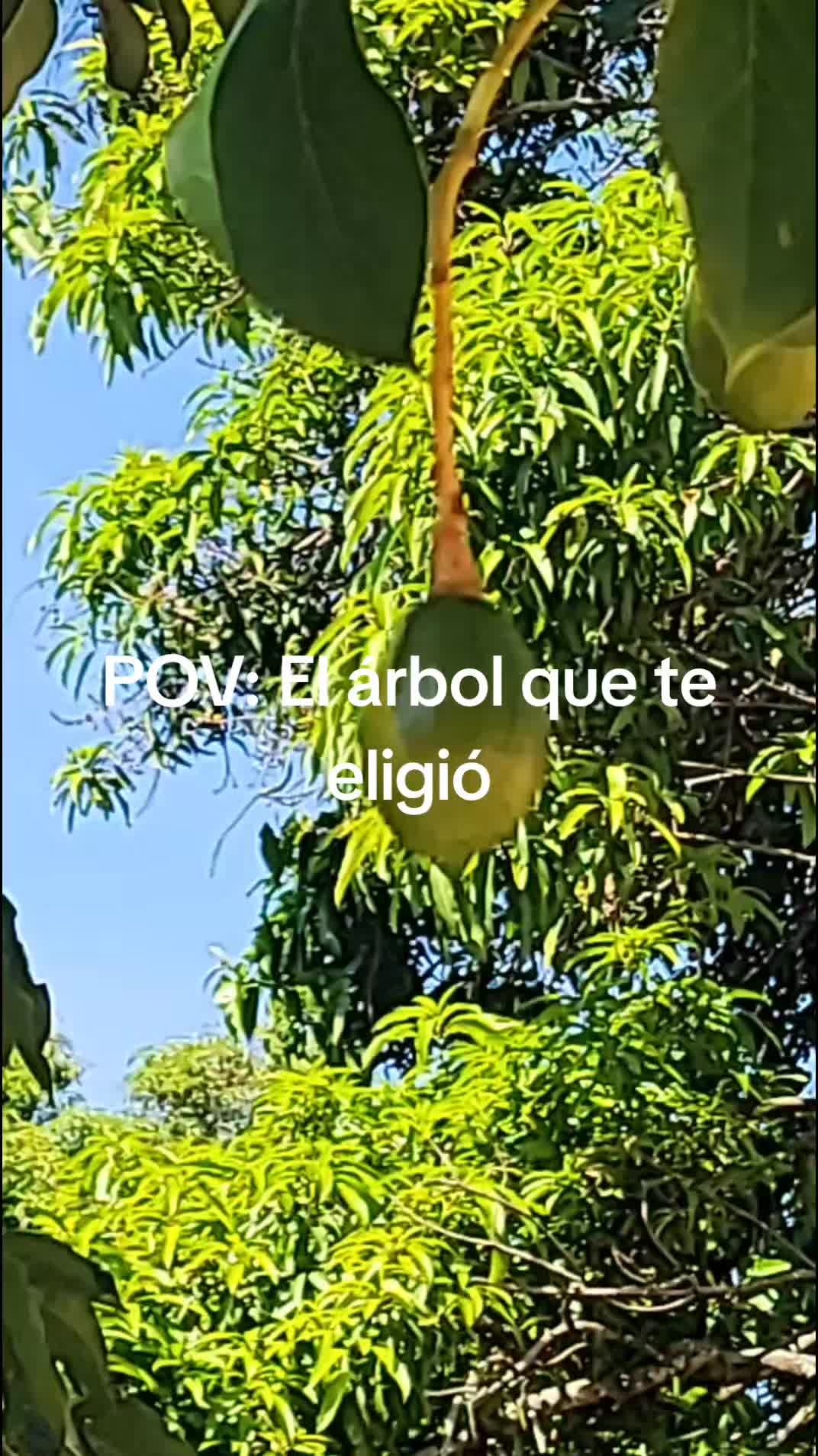 @lucymanzano