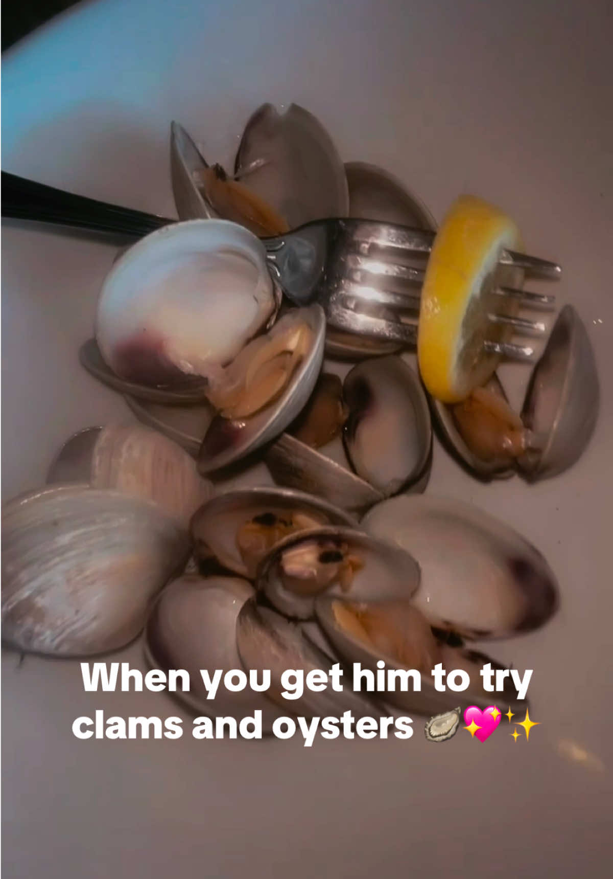 @malpal2