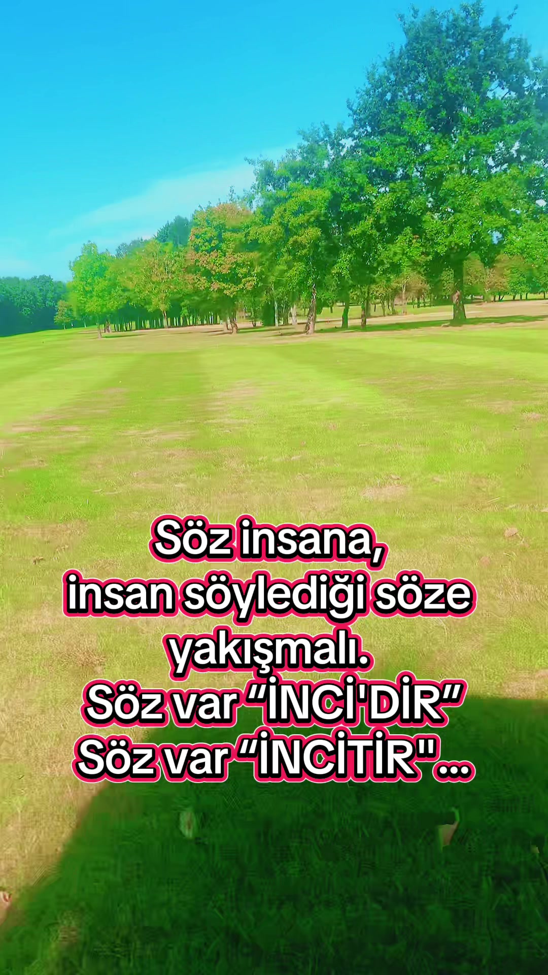 @Biricik Habby