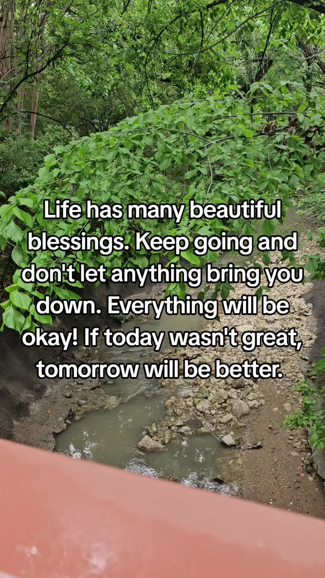 @🦋 Bety 🦋