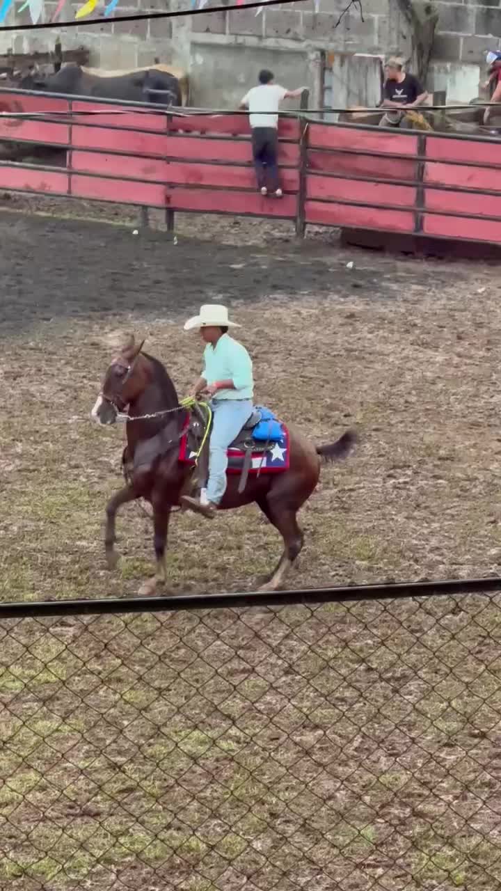 @alex_jr7788