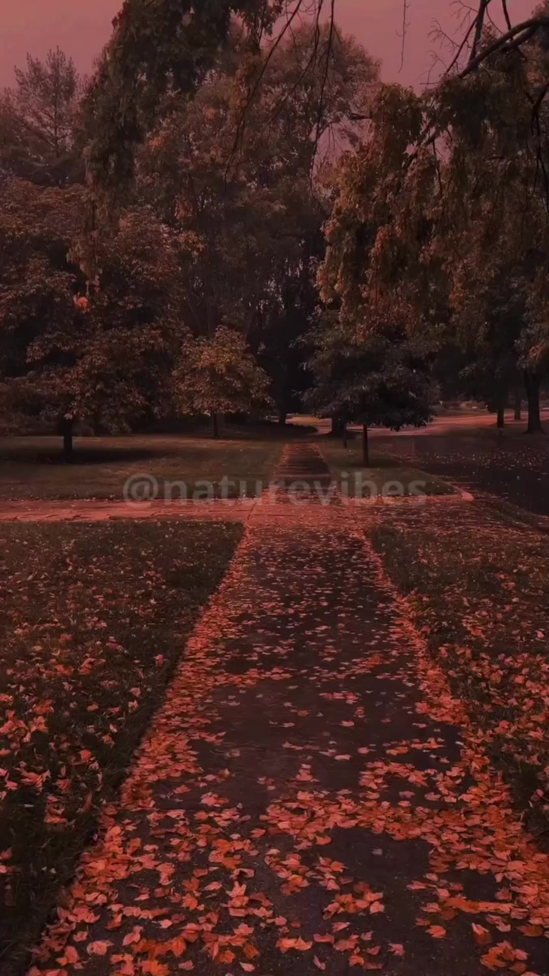 @Nature Vibes
