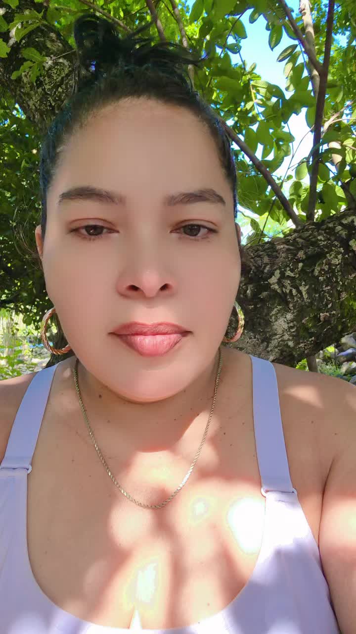 @el ave fénix