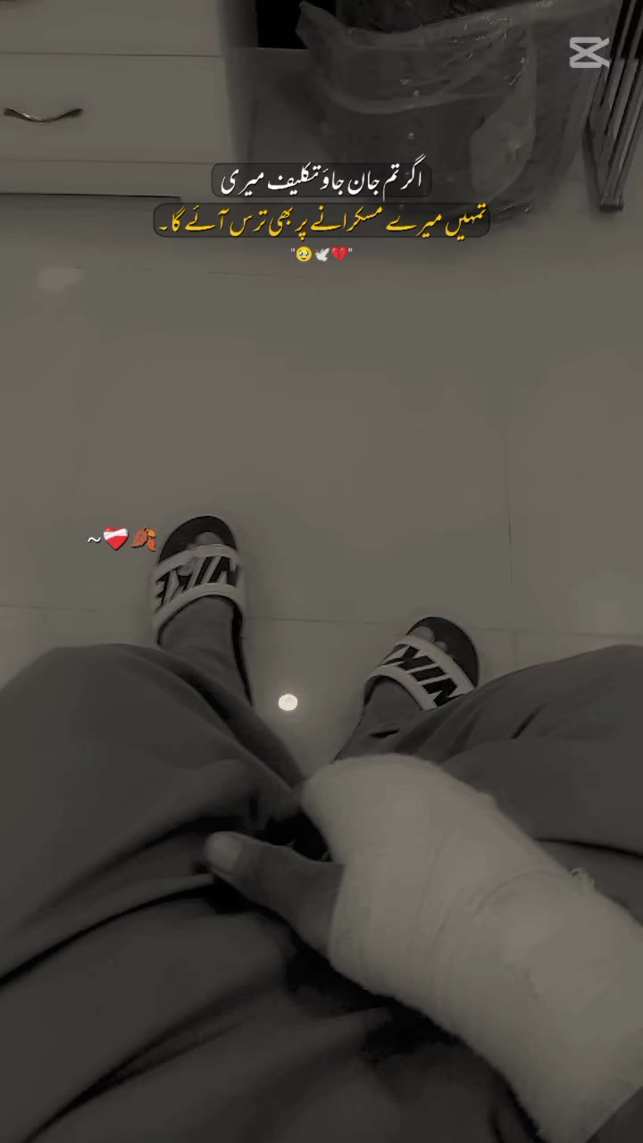 @🕷️