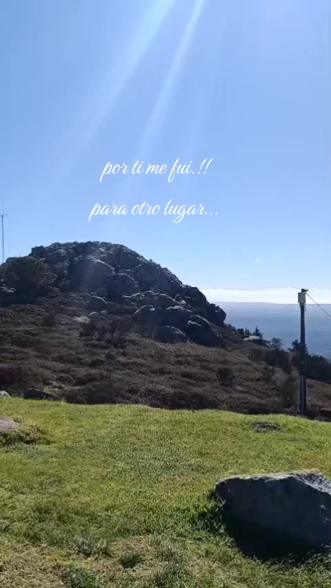 @Shujey Figueira