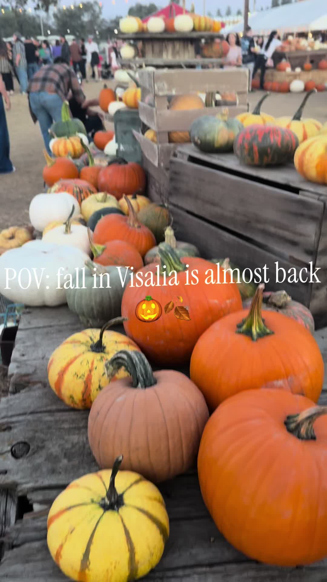 @Jenna ♡ Visalia Creator