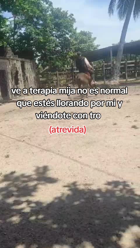 @ever tovar