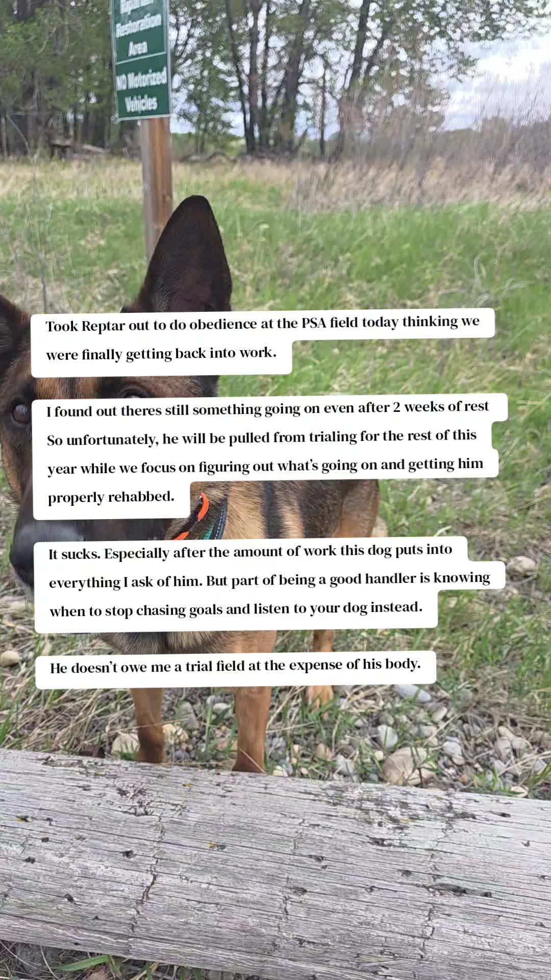 @Steph-RaisingHell.Hounds🇨🇦