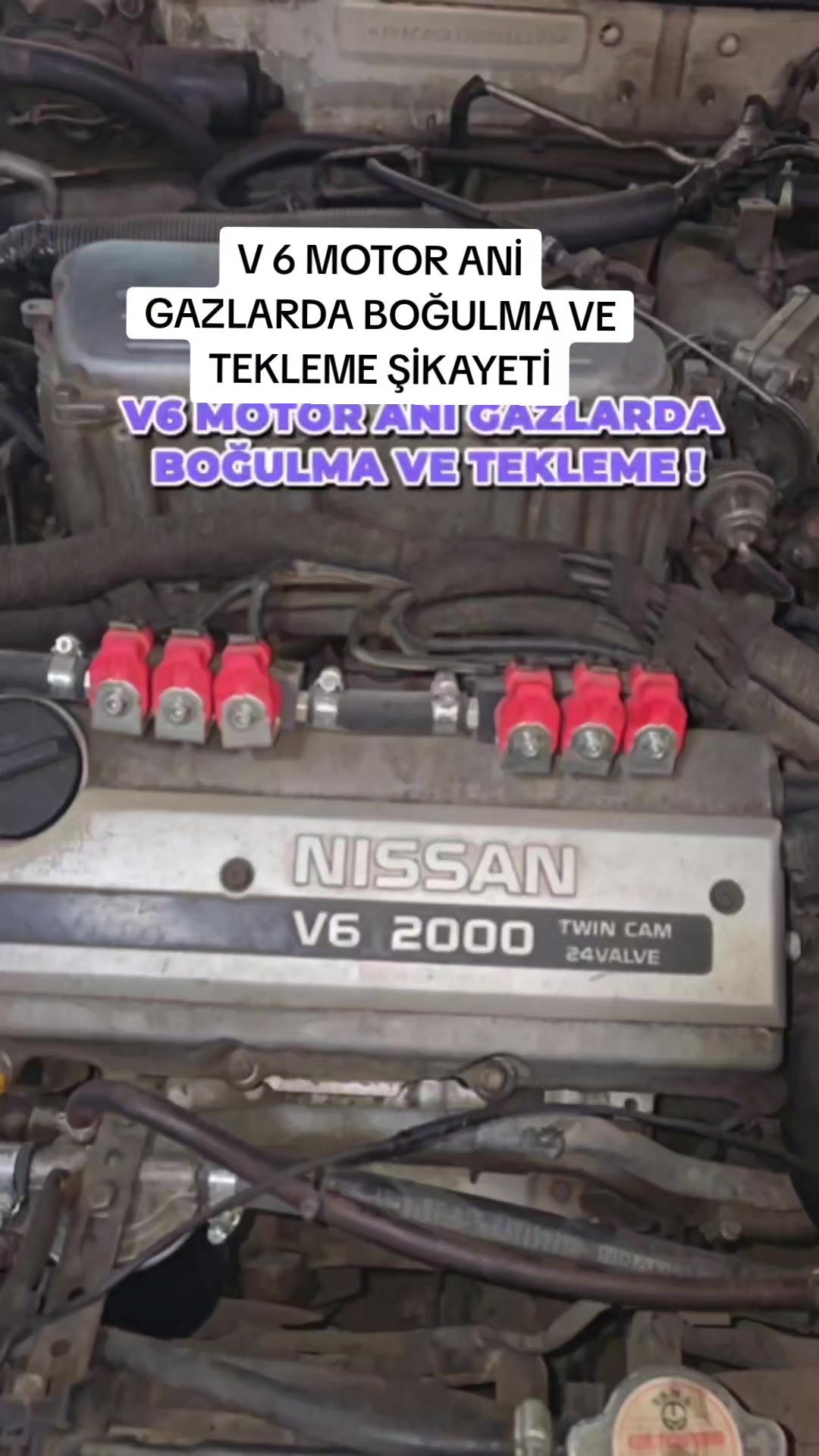 @FENOMEN GAZCI
