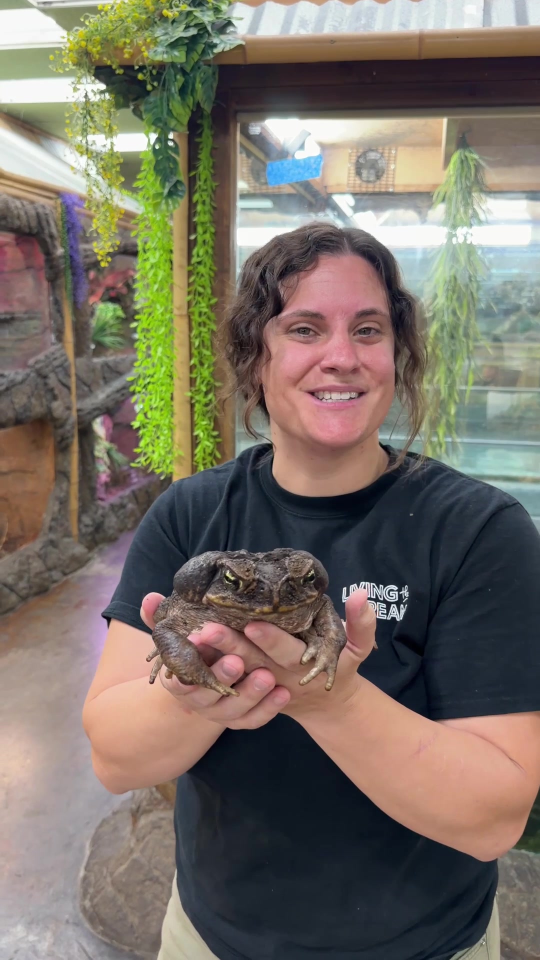 @The Reptile Zoo
