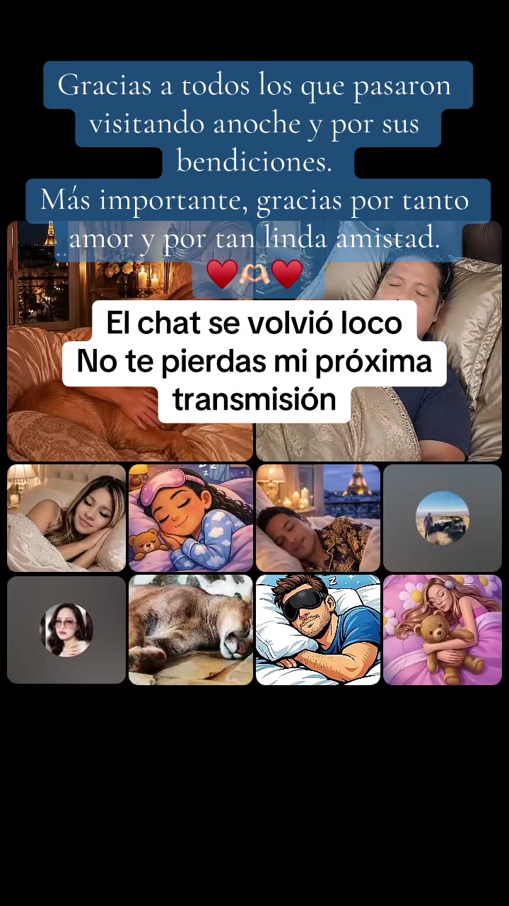 @🕊️Matty BLight🐕🩷🐻