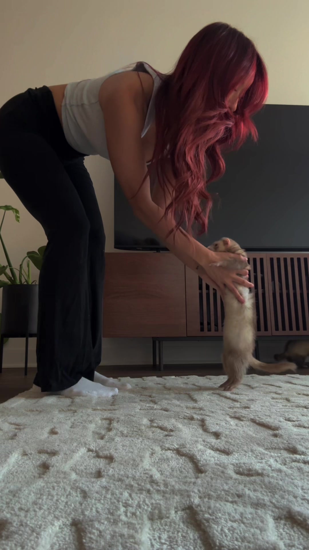 @Moon & Nala