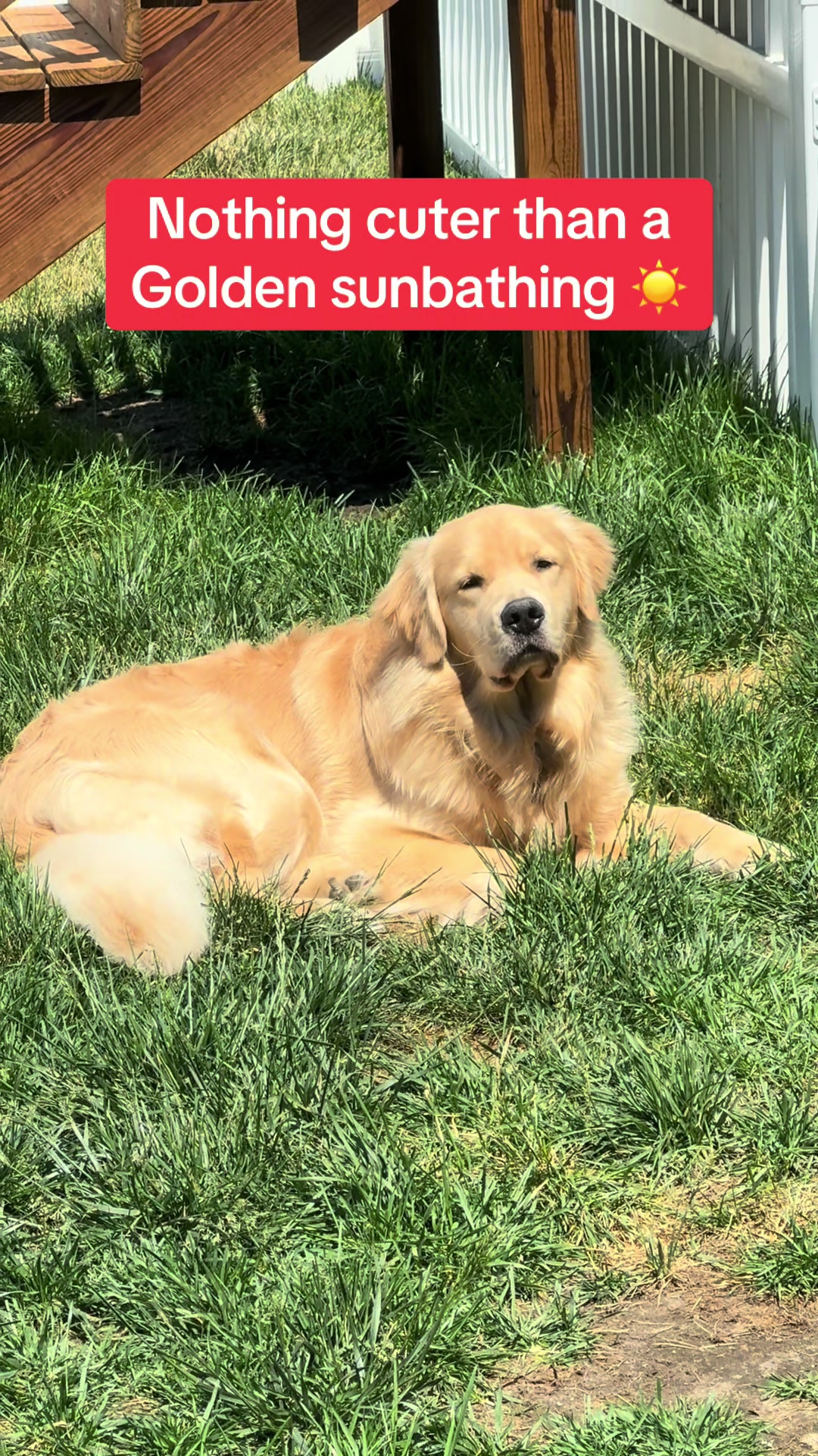 @Tucker_tha_Golden