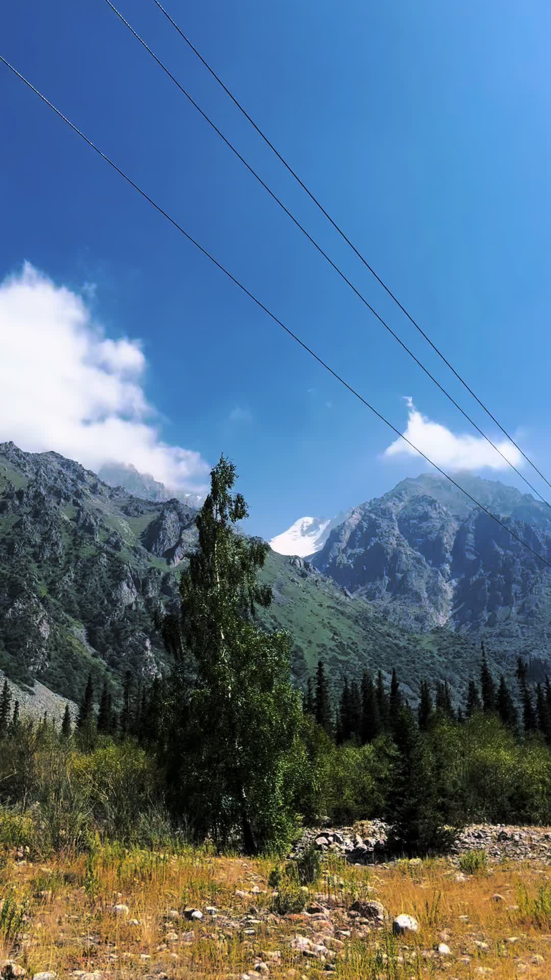 @Gohatay