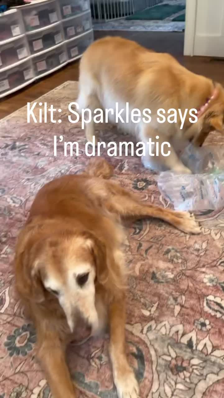 @DogMomisms