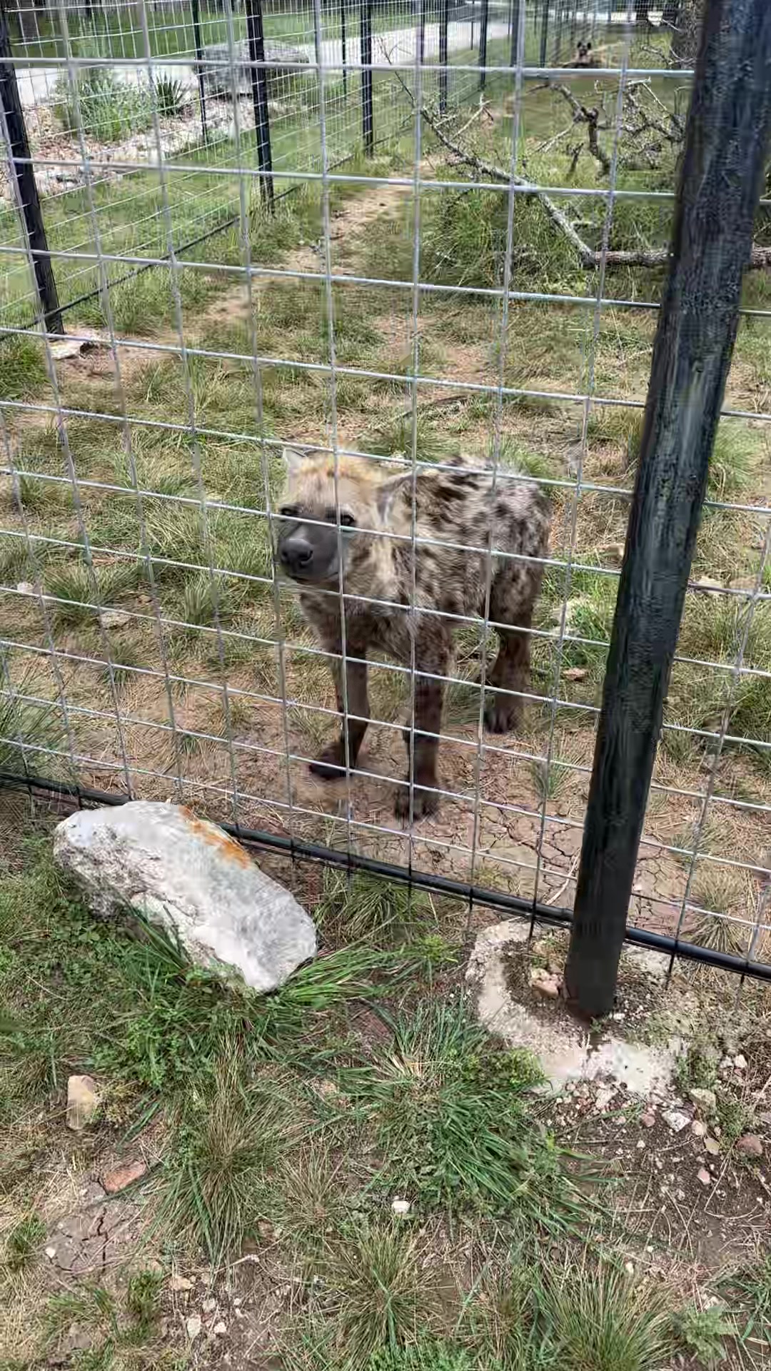 @Texas Wildlife Park