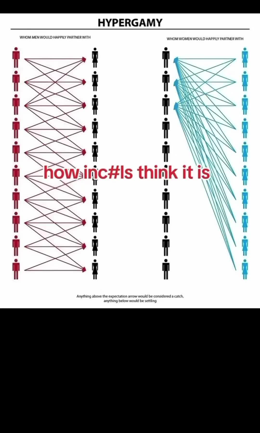 @Mikeidc146