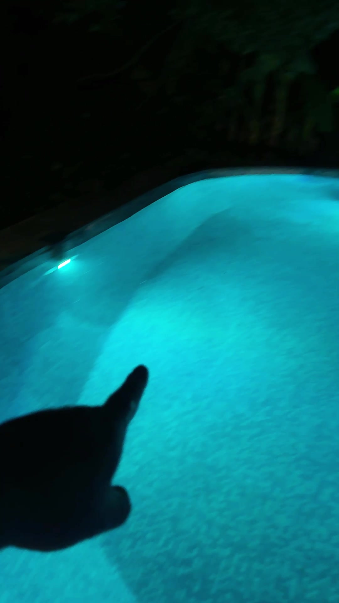 @Shayne Glow