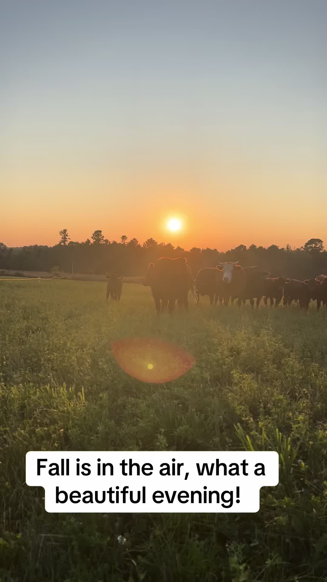 @littlesandycreekfarm