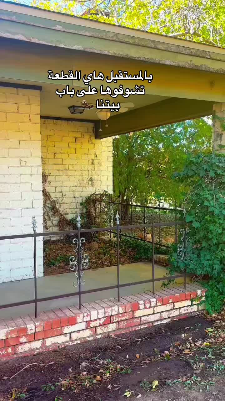 @✨Dina Zone | دينا زوون✨