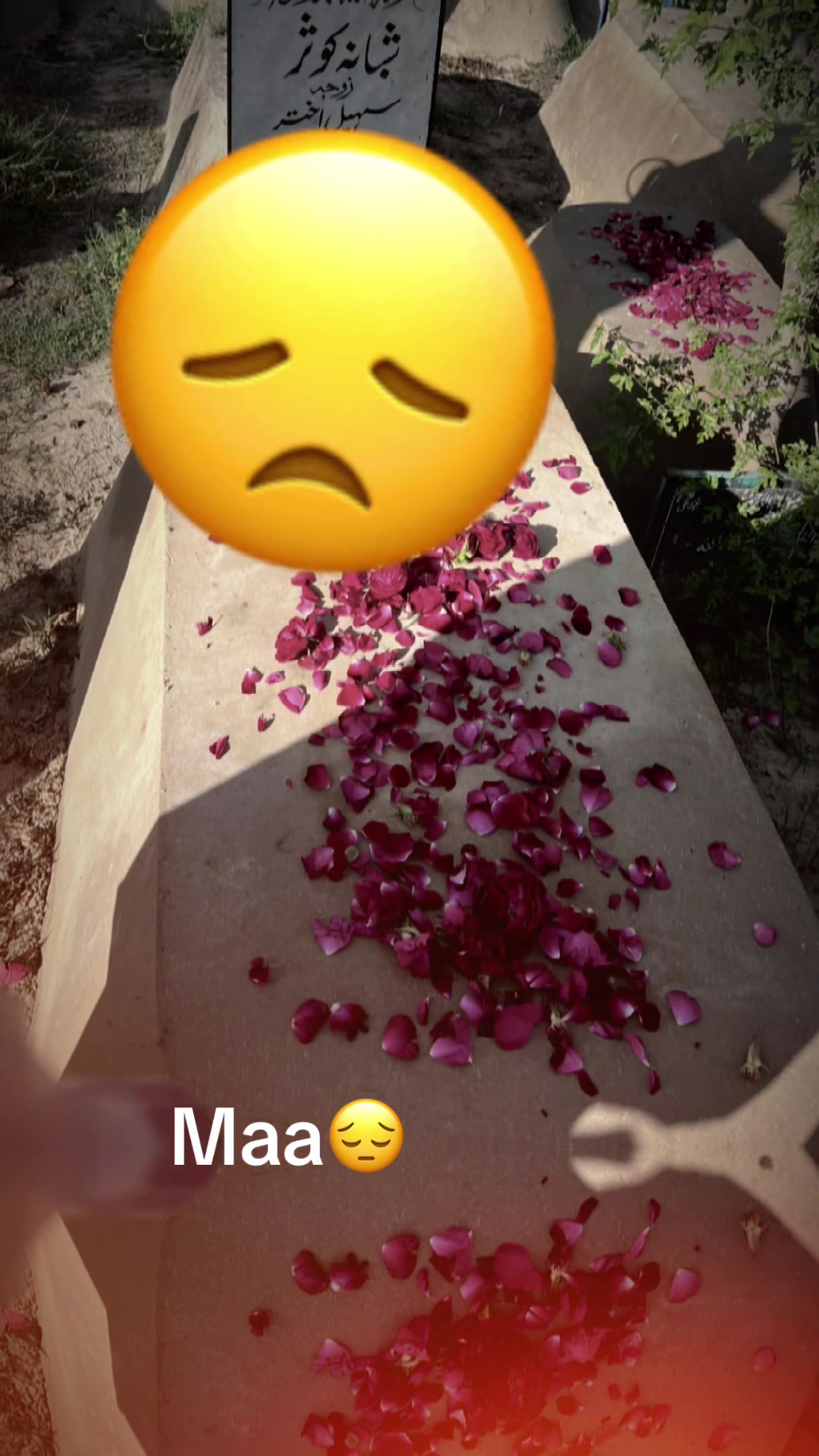 @m.s.s.1500