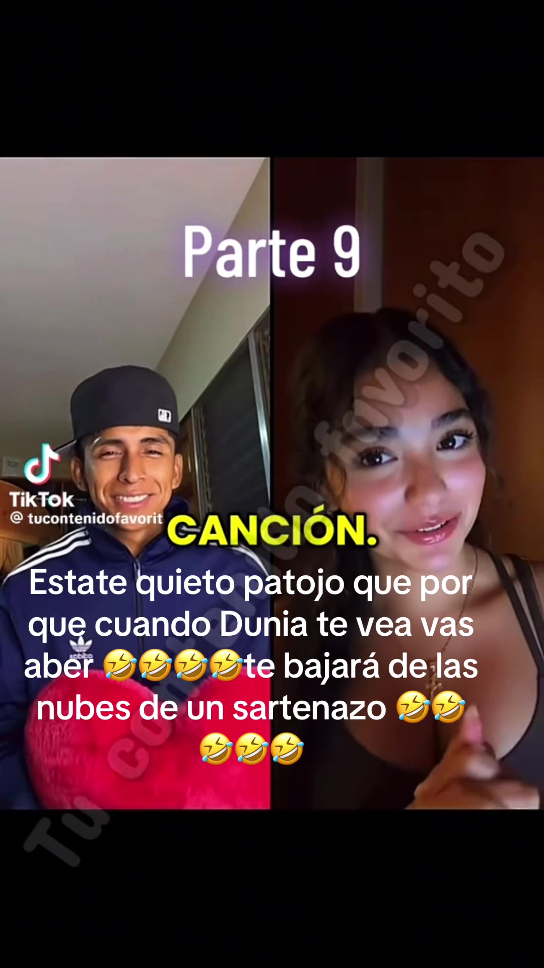 @Gatita Linda 😻🤝🥦💖🌺