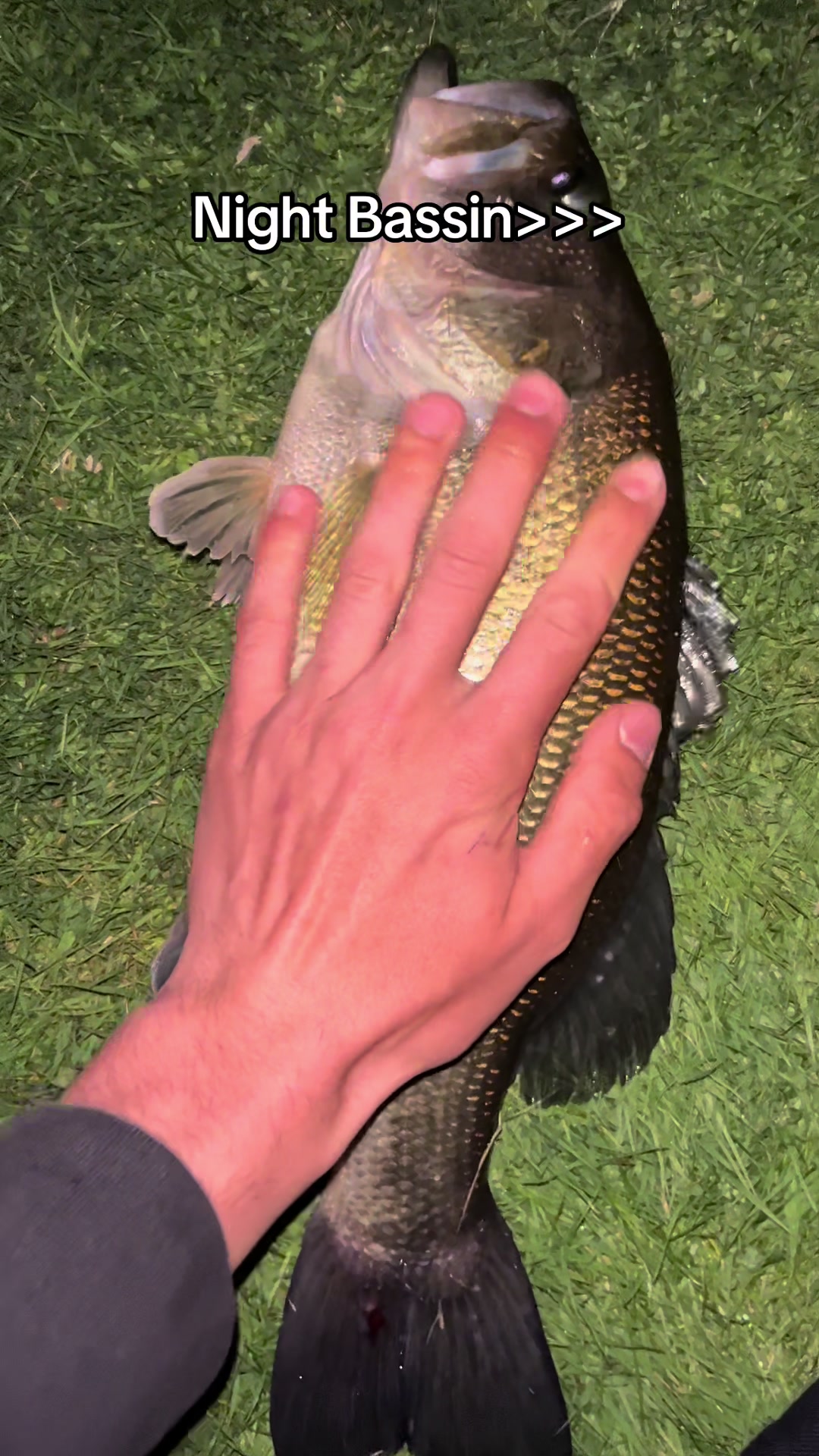 @FishingWithCam