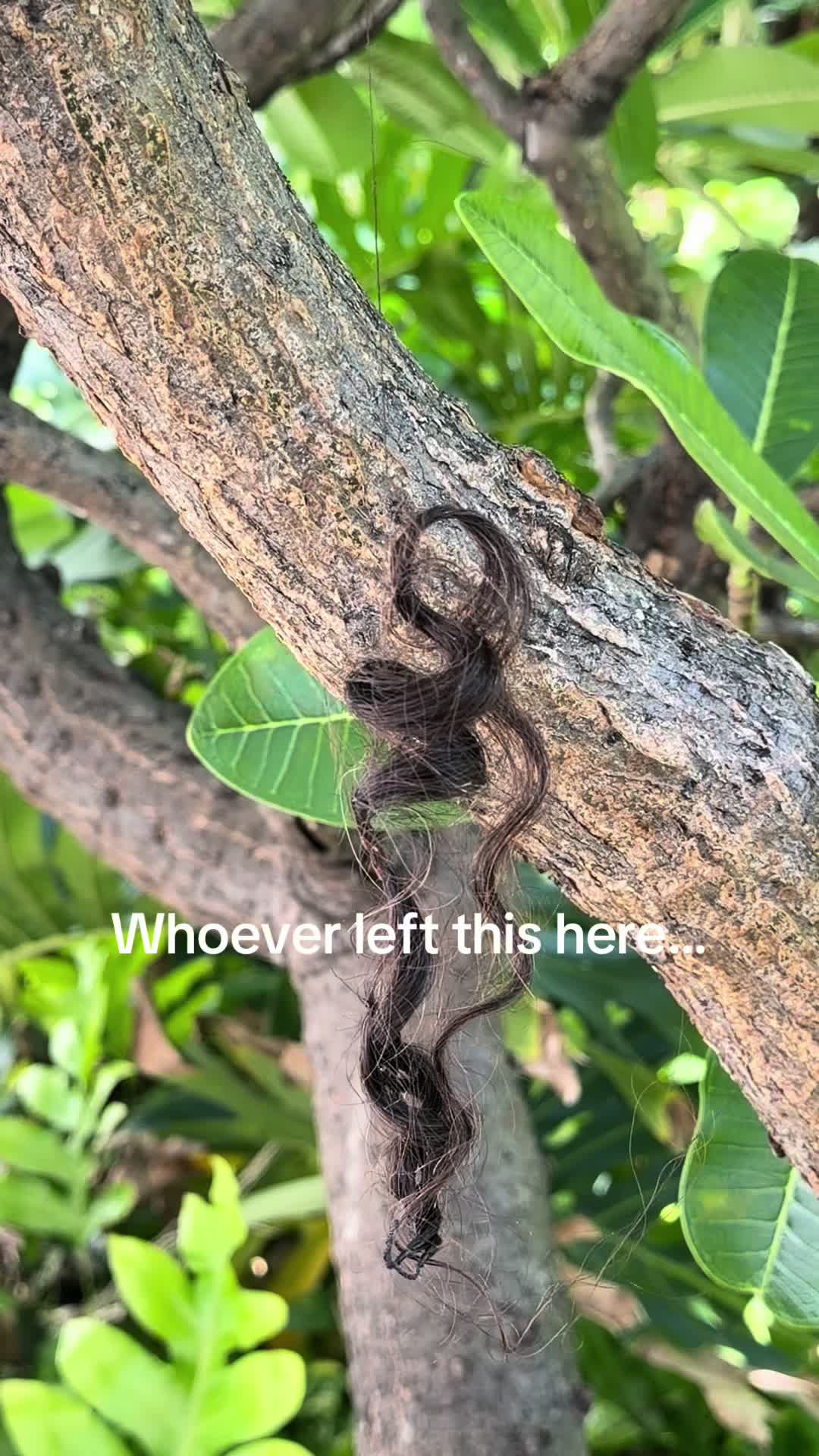 @Me, Myself in HI