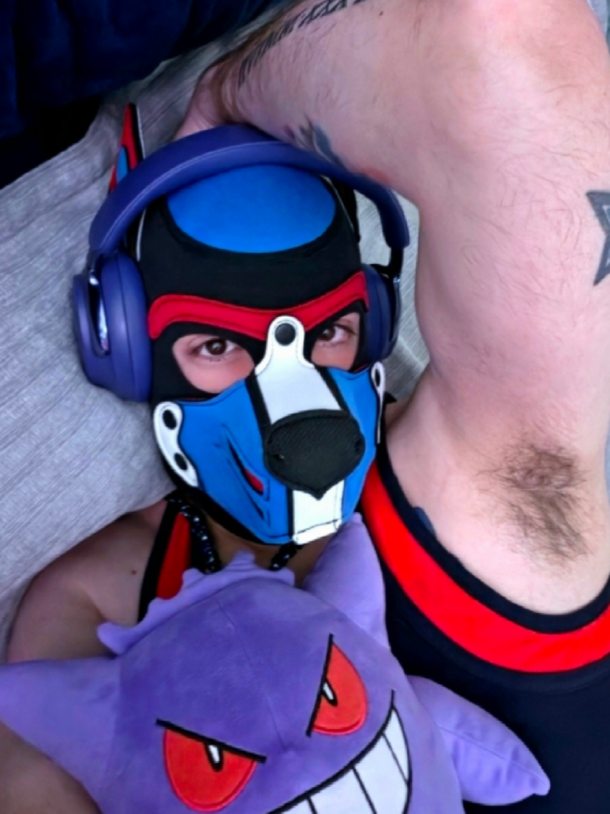 @๐พ๐PupBoltBlue ๐๐พ