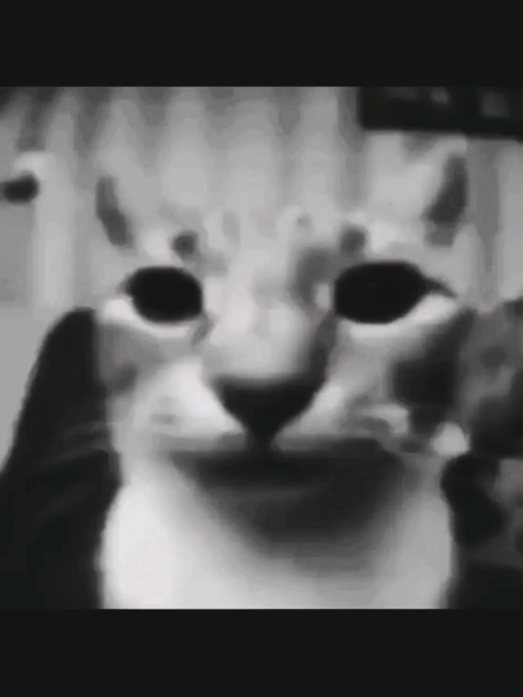 @Hellsy