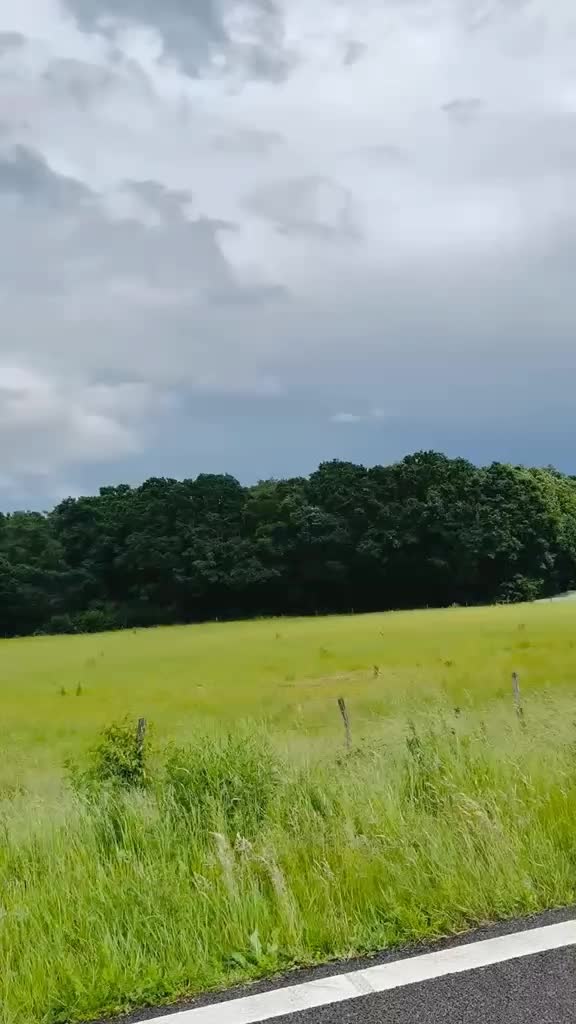 @𝑺𝒊𝒍𝒆𝒏𝒕ꨄ