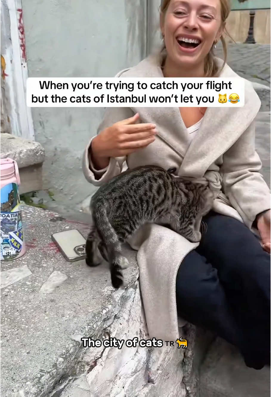 @Miao33