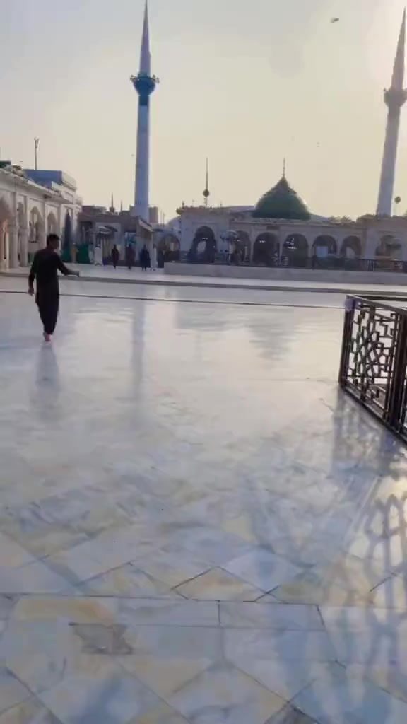 @⛓چوہدری سلمان وینس 🦁
