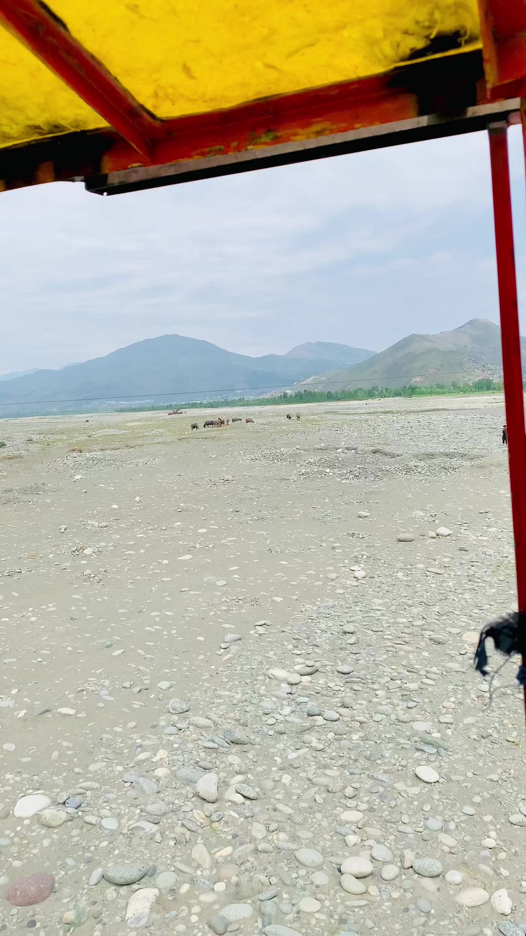 @♥️Zawar Azhar jeelani♥️