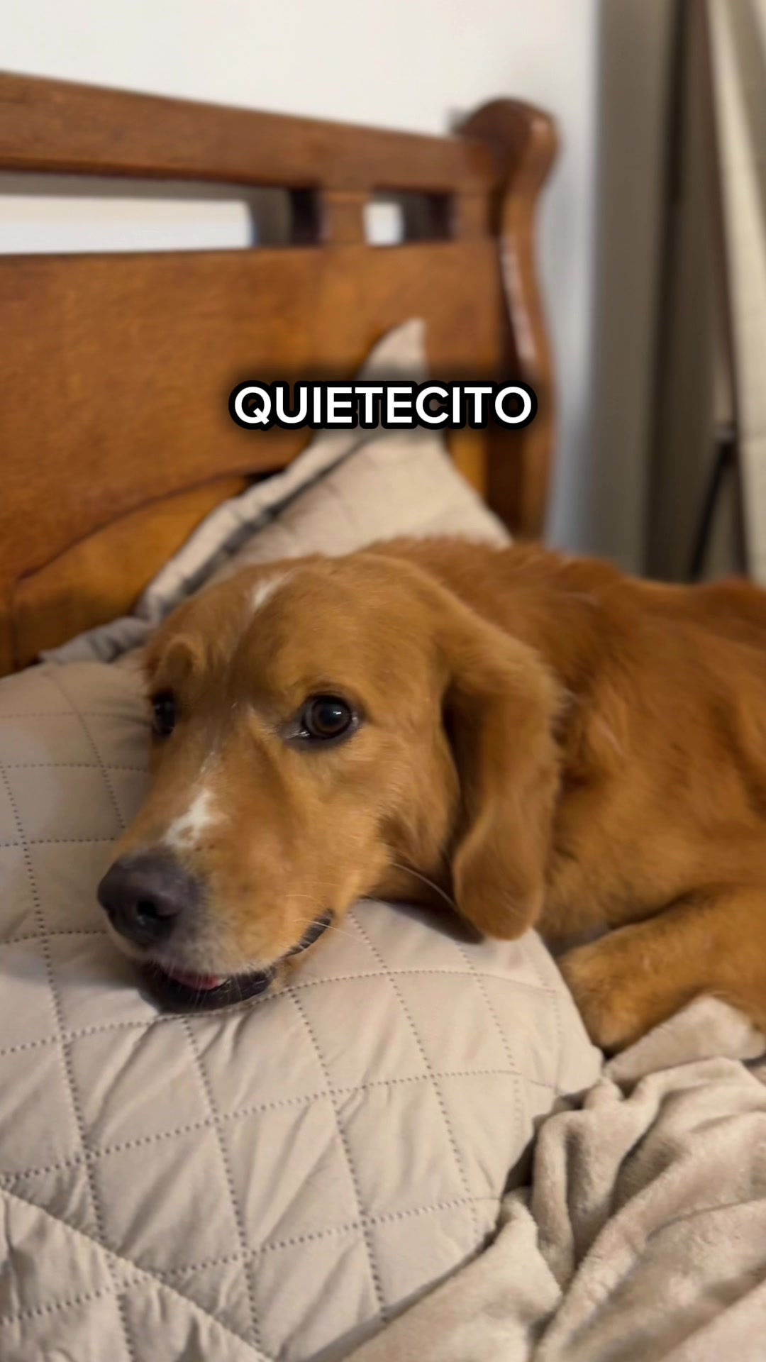 @gleypuentes ༽