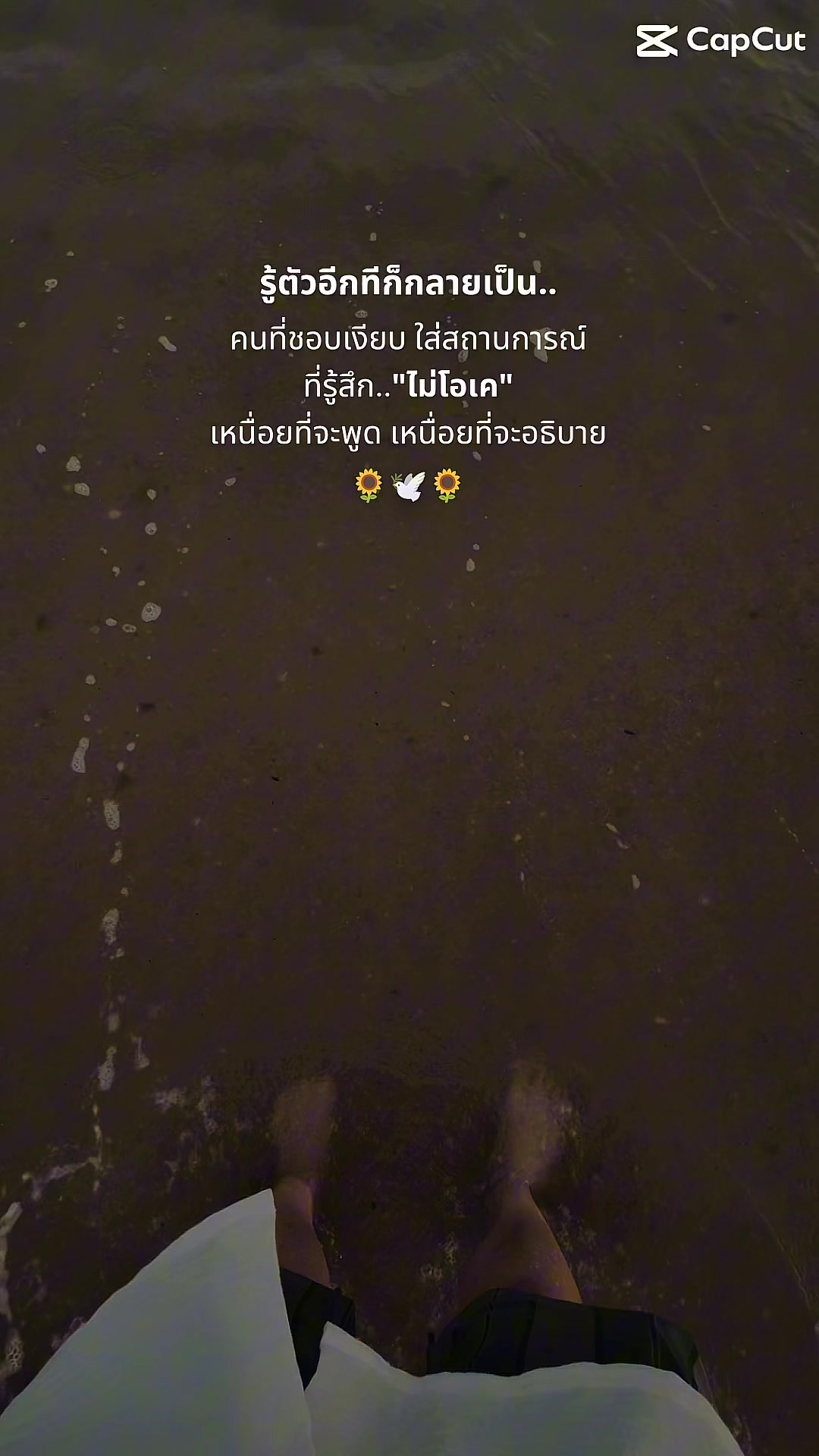@View.P
