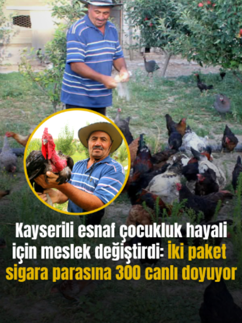 @Mynet