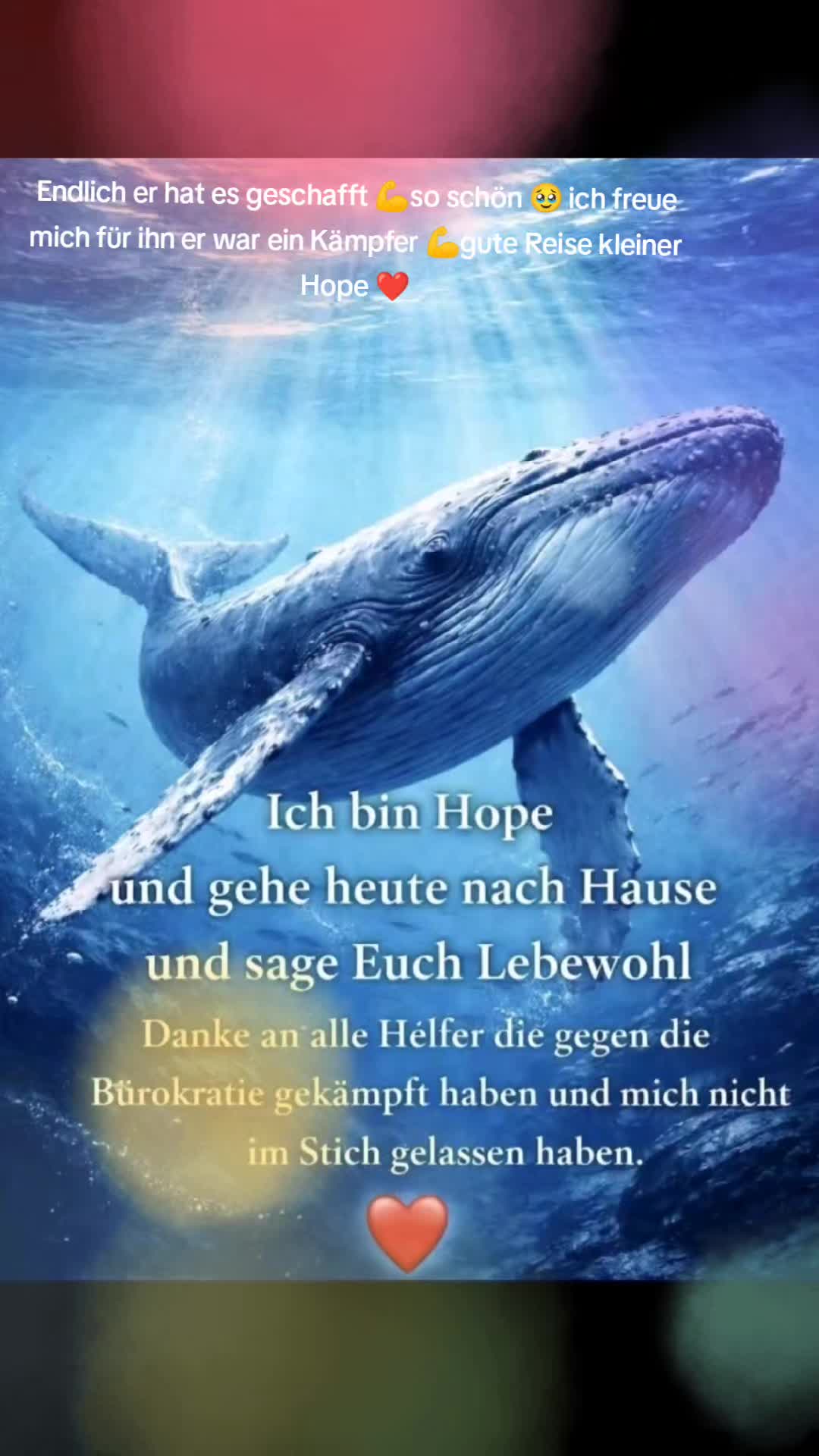@🪽Angel73🪽😇