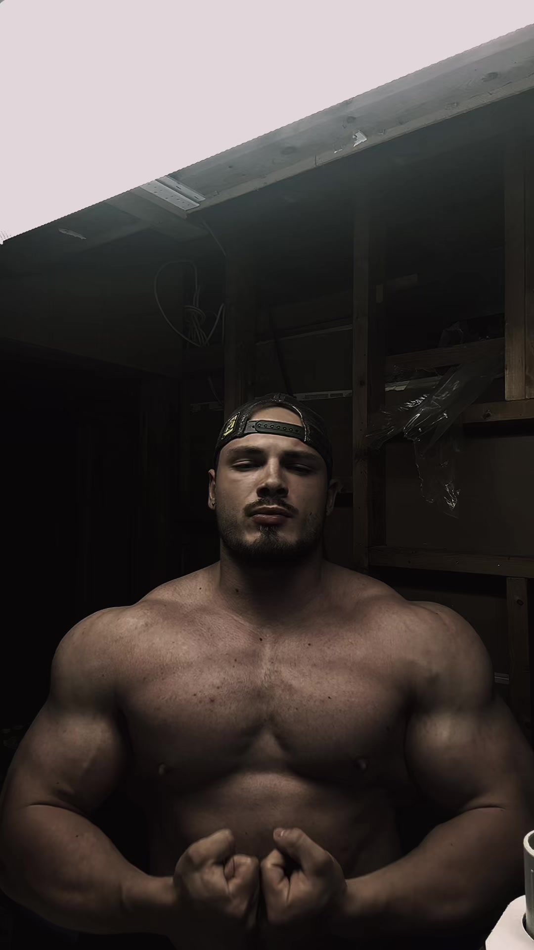 @anabolicgorilla