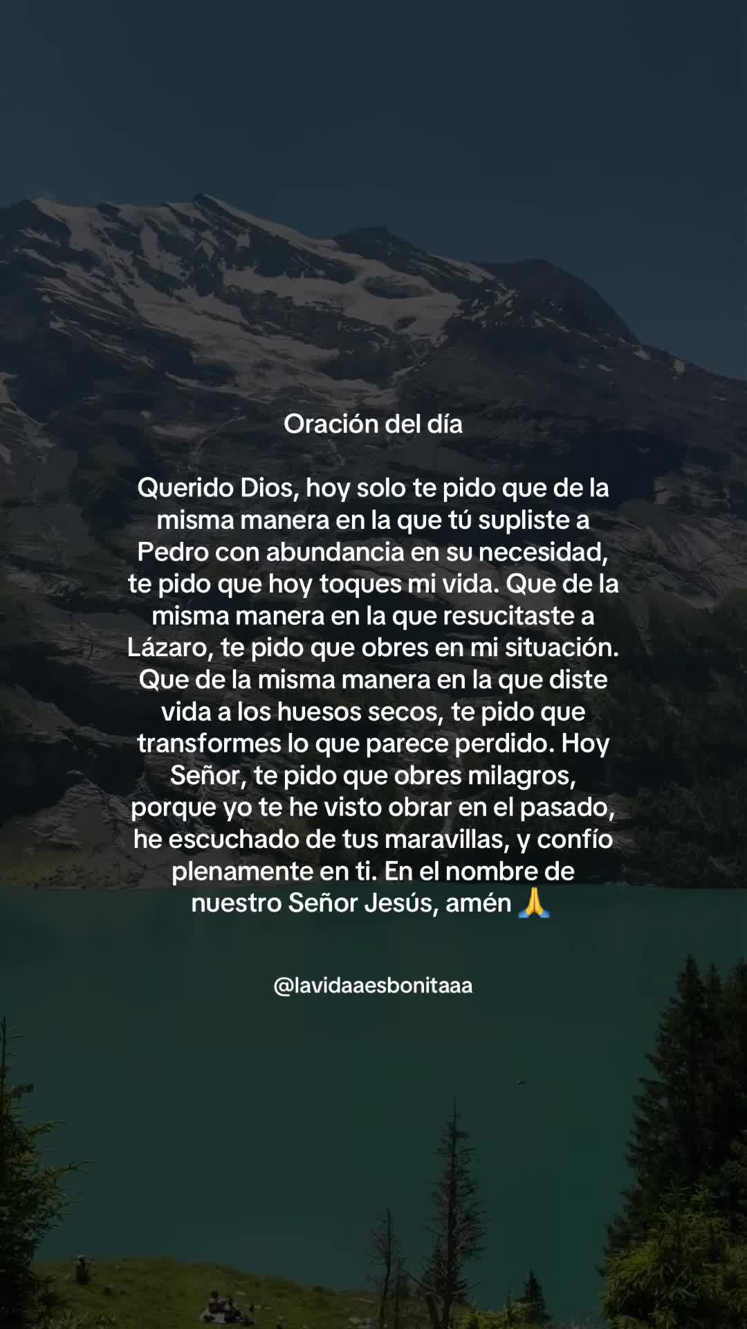 @vidabonita❤️&zwj;🩹
