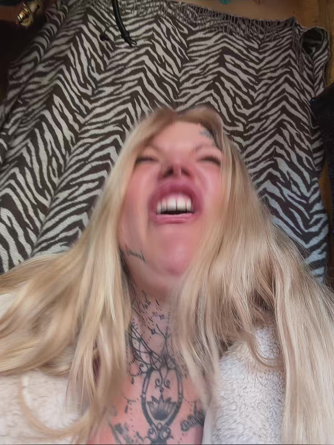@Not_Tabby