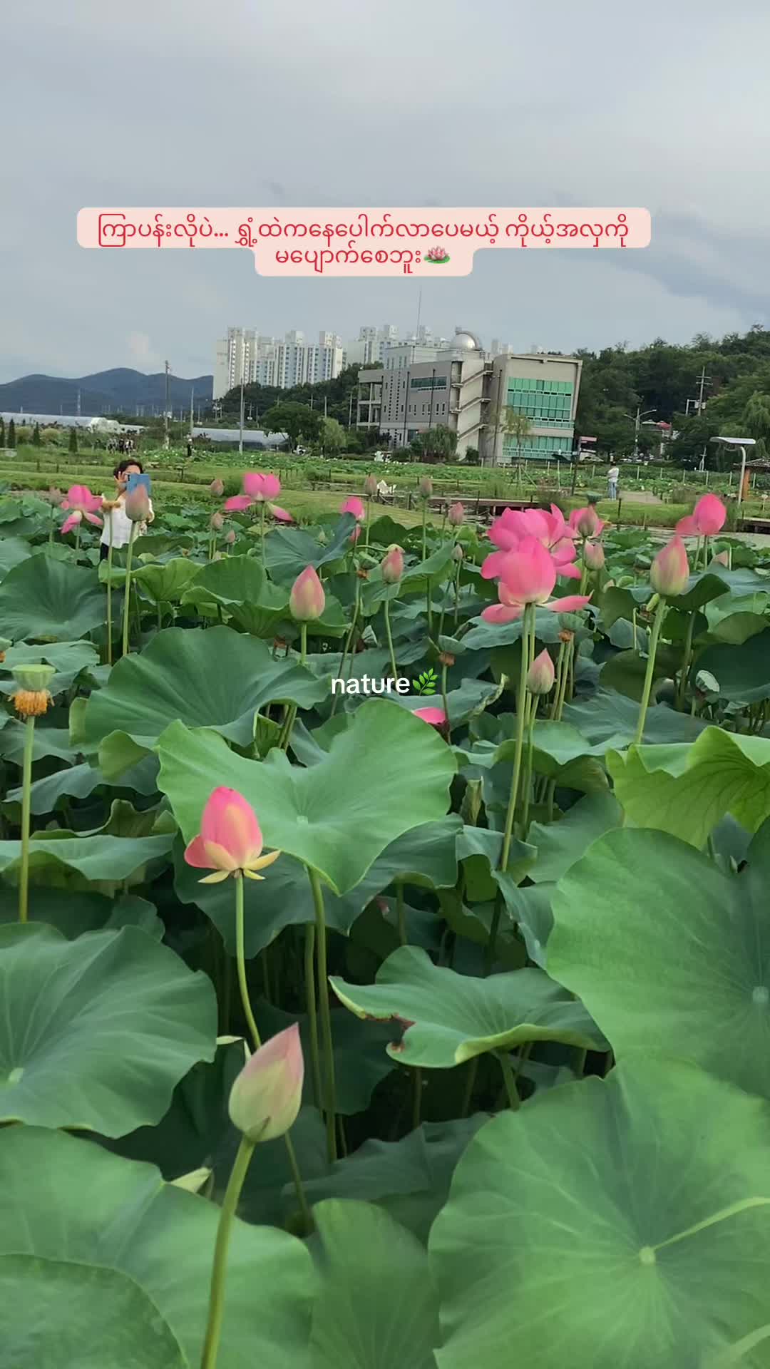 @SU PYAE HTET✨
