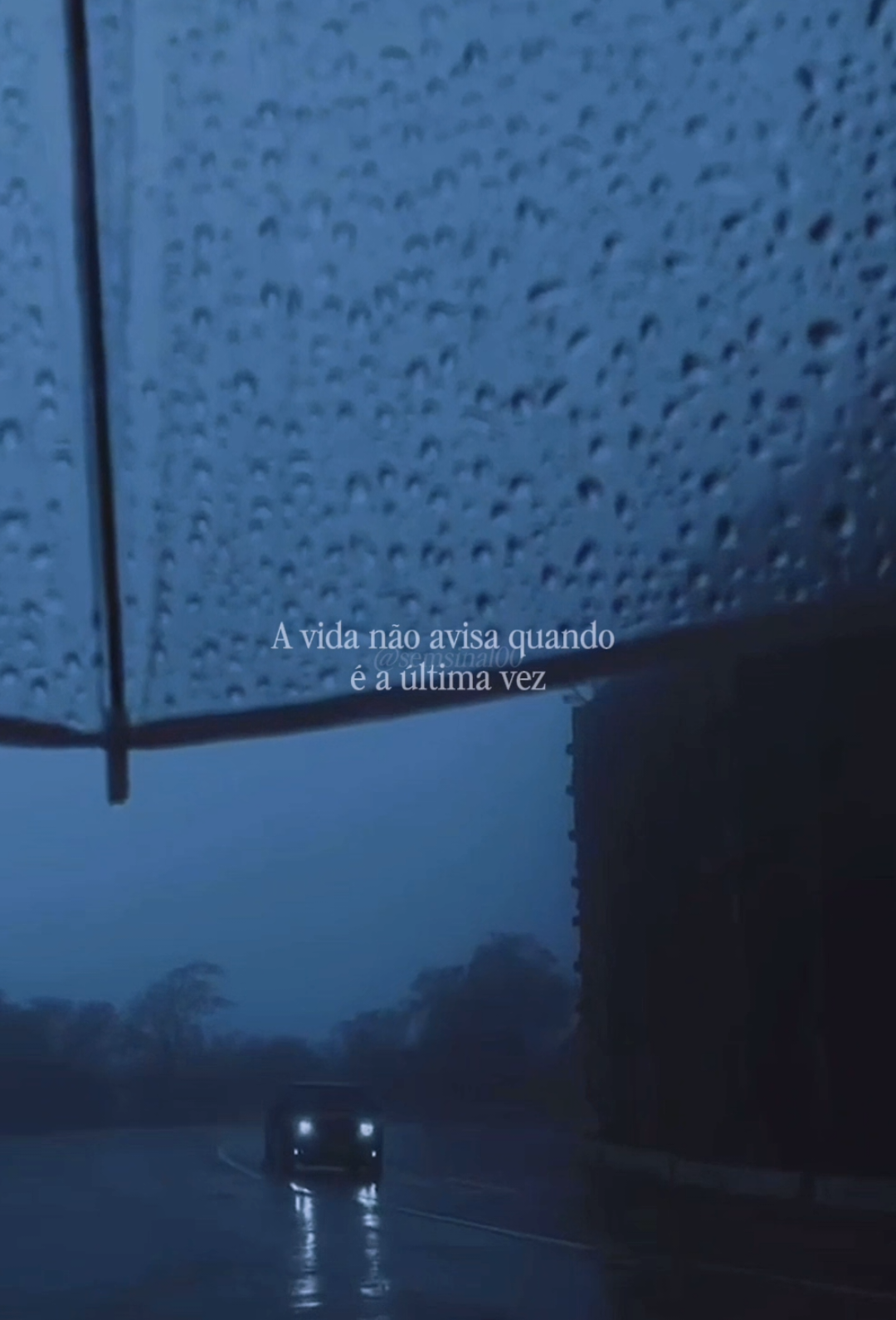 @_semsinal00