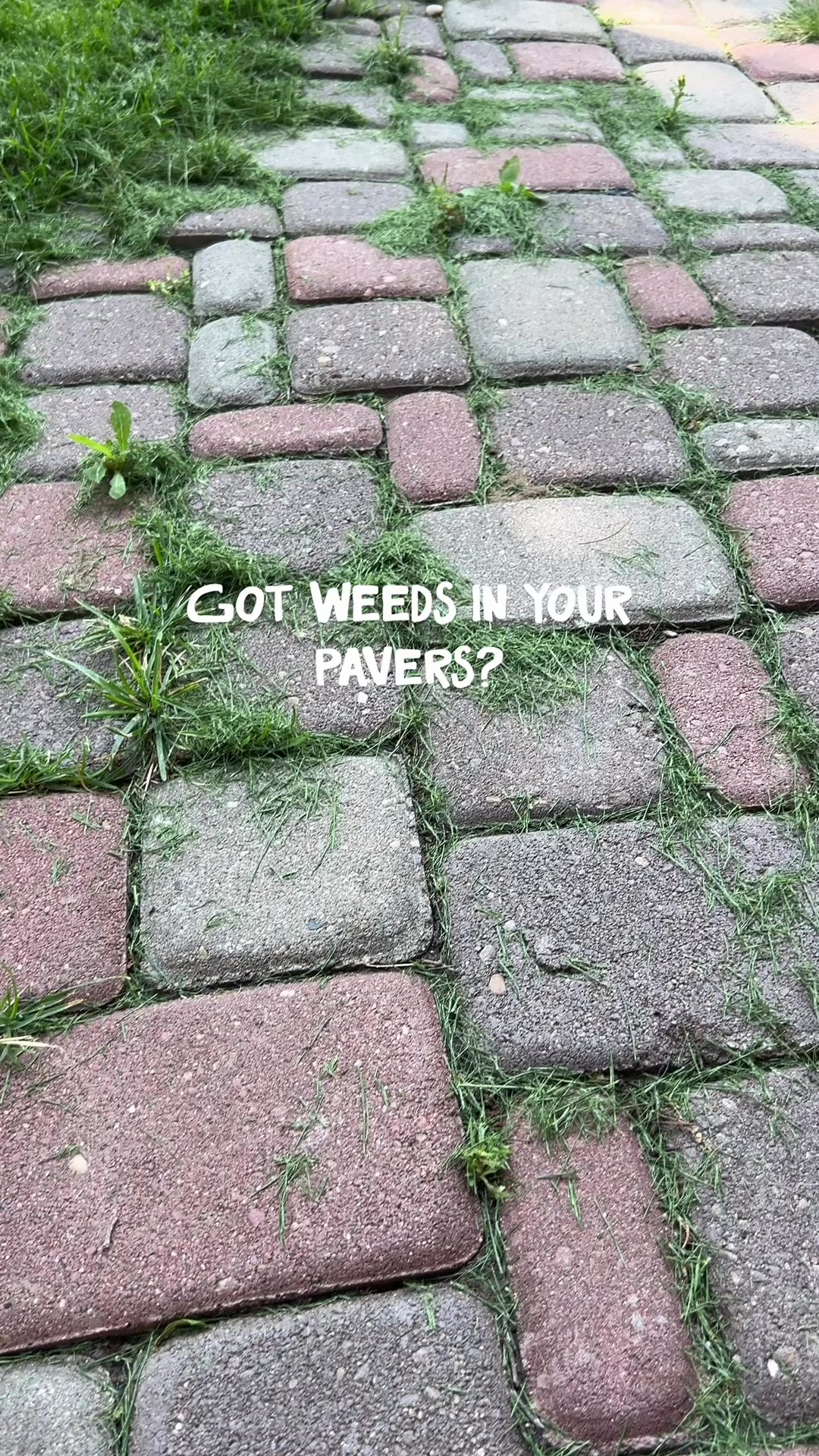 @Erin