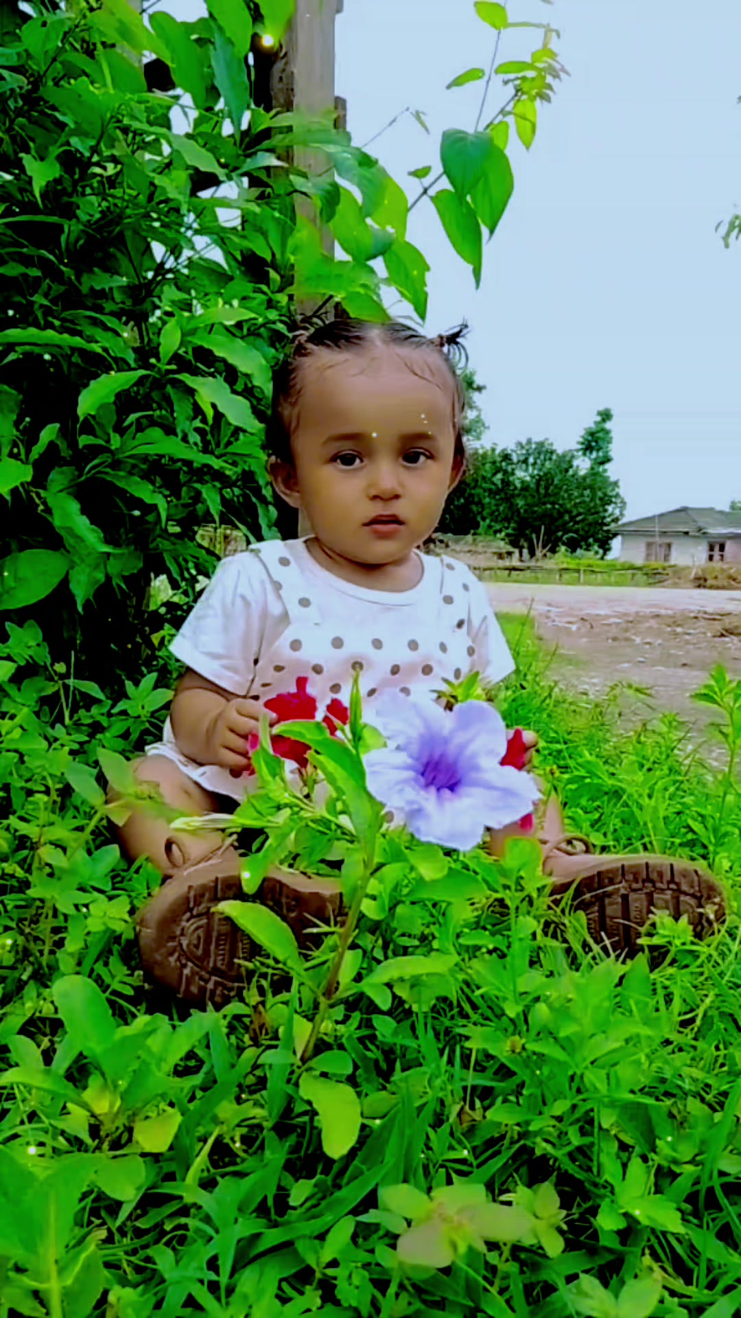 @Ambika Ghatani
